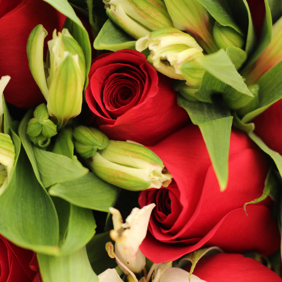 BONJOUR - Flores para regalar