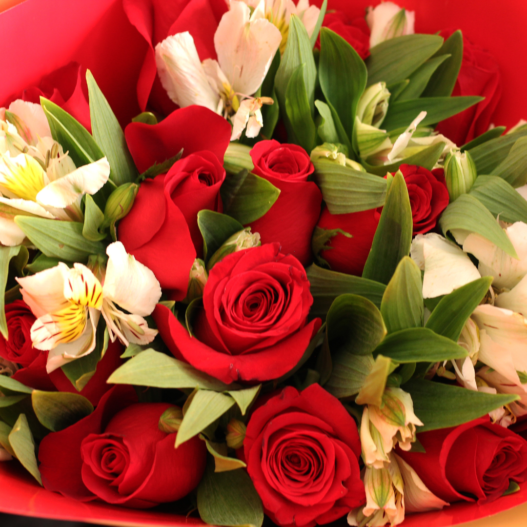 BONJOUR - Flores para regalar