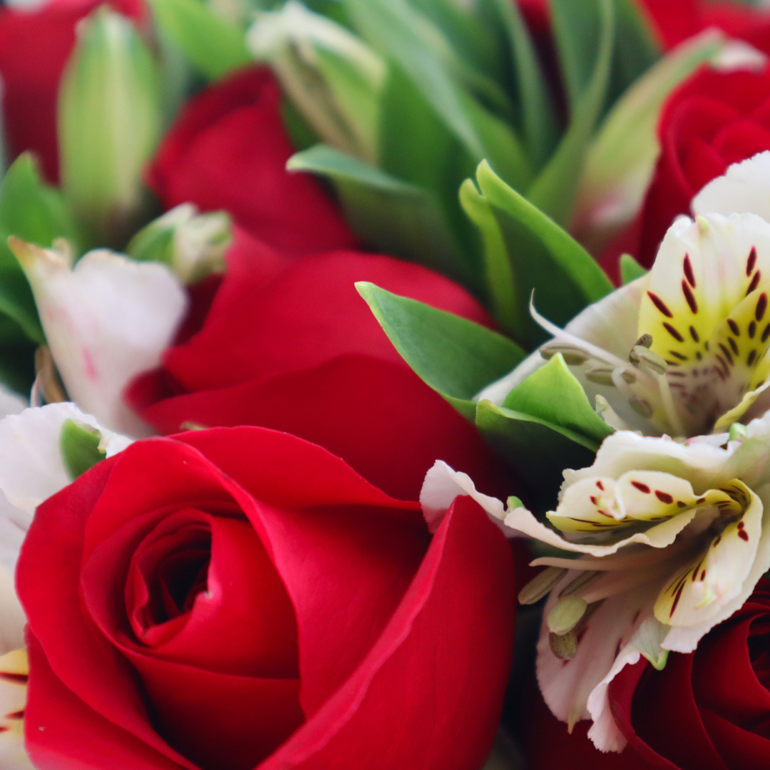 BONJOUR - Flores para regalar
