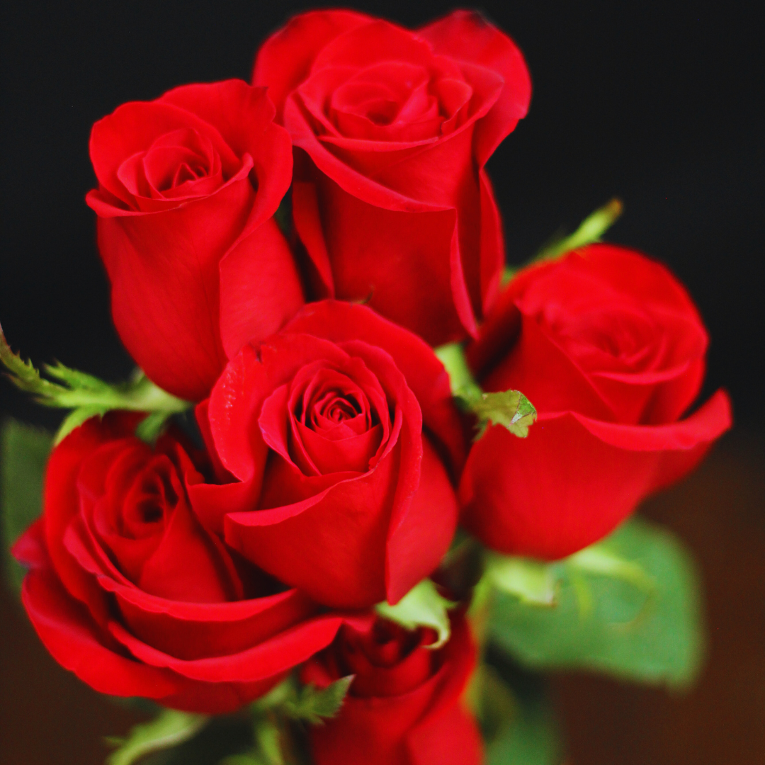 OH! L´ AMOUR - Rosas rojas lenguaje del amor