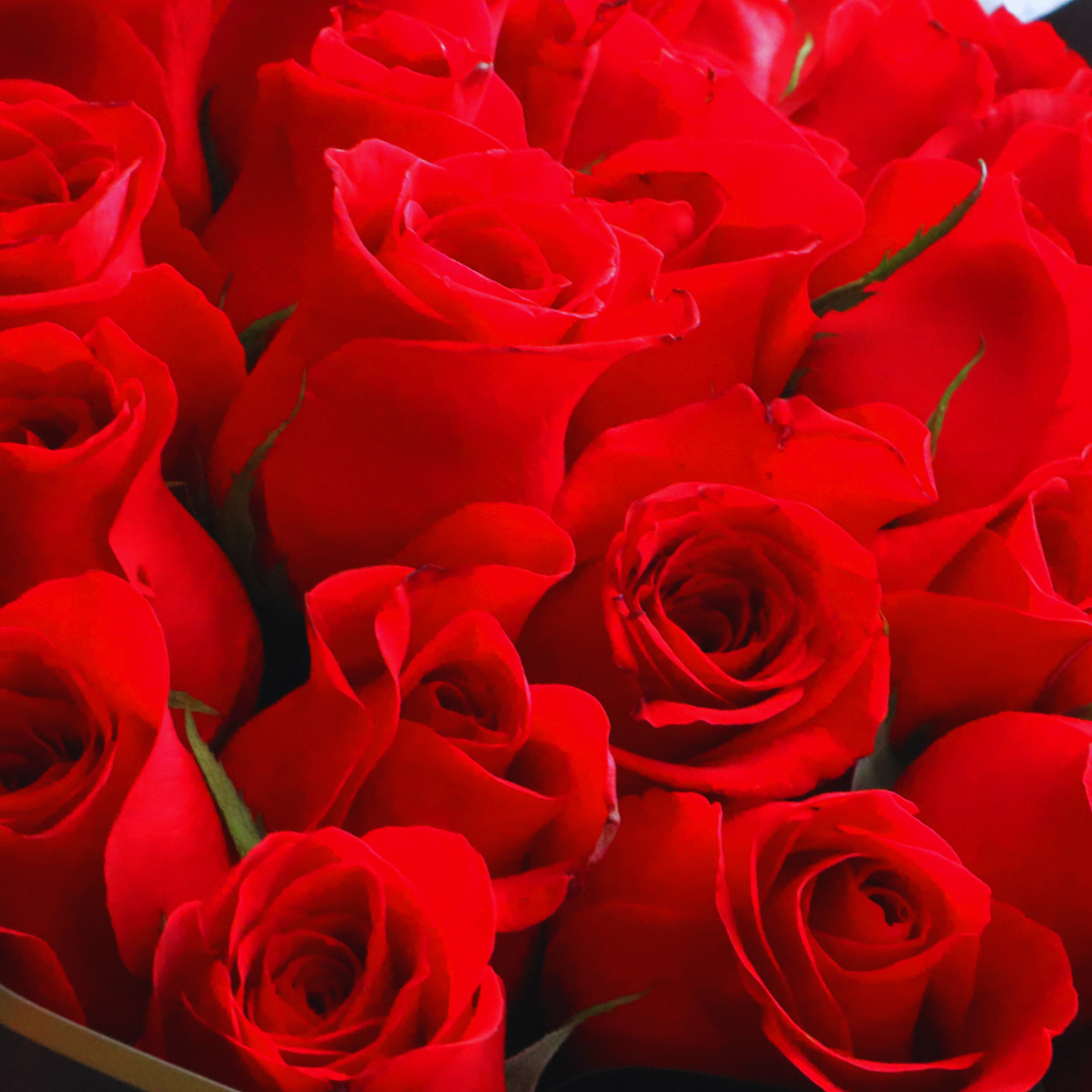 AMOR, AMOR - Regala rosas rojas para aniversario